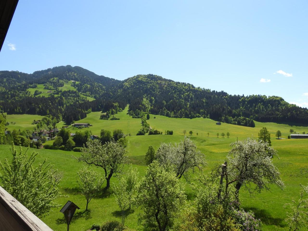 Bauernhof Hintenberg Itter Exterior photo